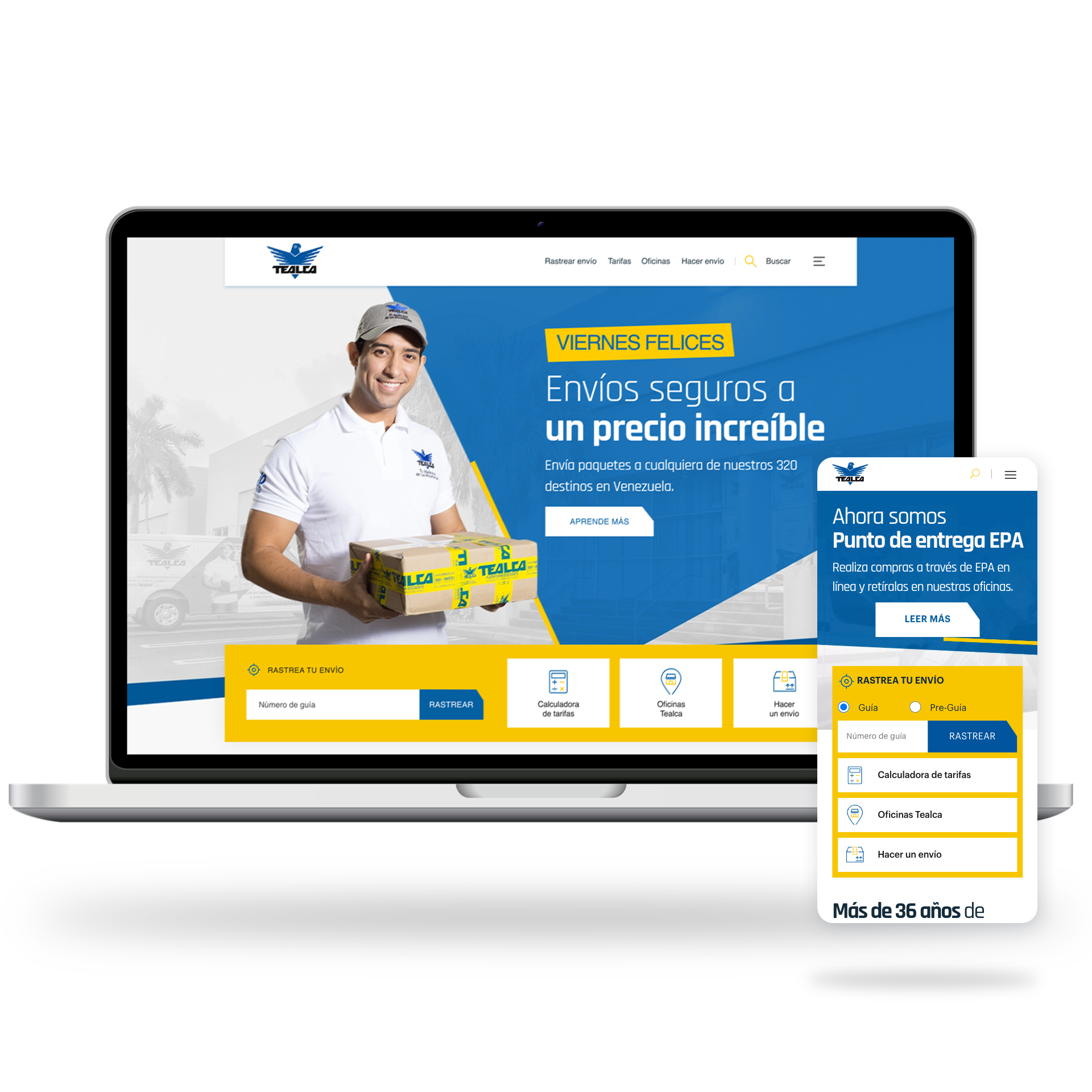 Imagen Desarrollo web Proyecto TEALCA