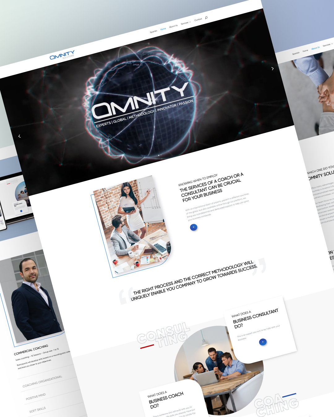 Omnity Portal Web - LogosCorp